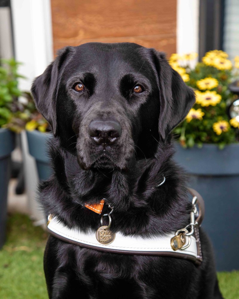 Thank you from Guide Dogs Victoria